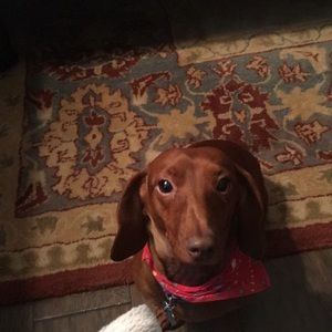 Meet your Posher, Kathy